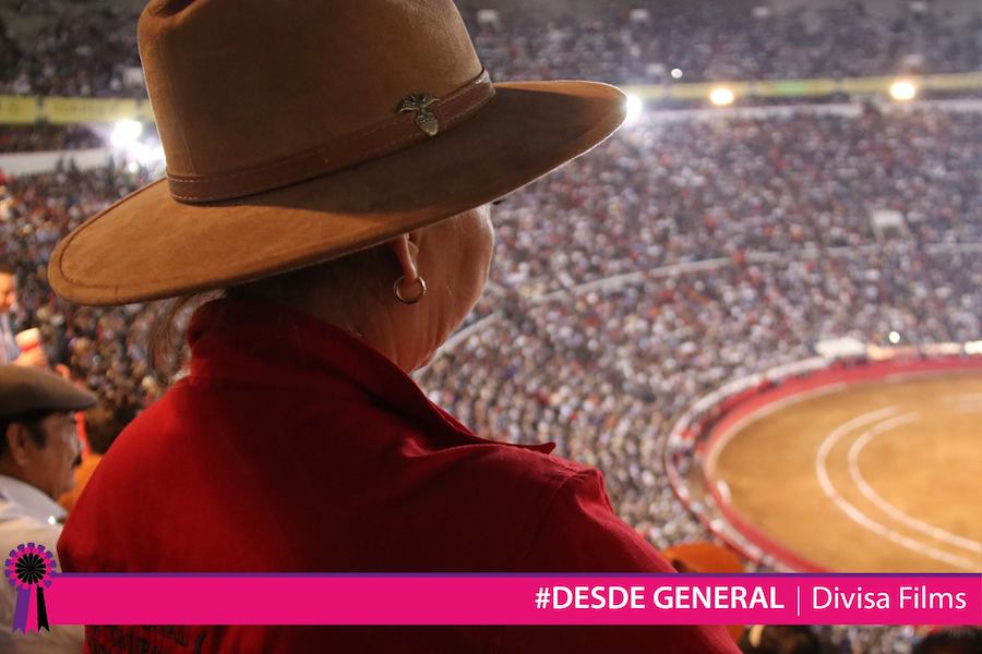 Promocionales para Redes Sociales y Televisión