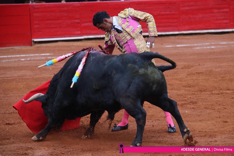 Promocionales para Redes Sociales y Televisión