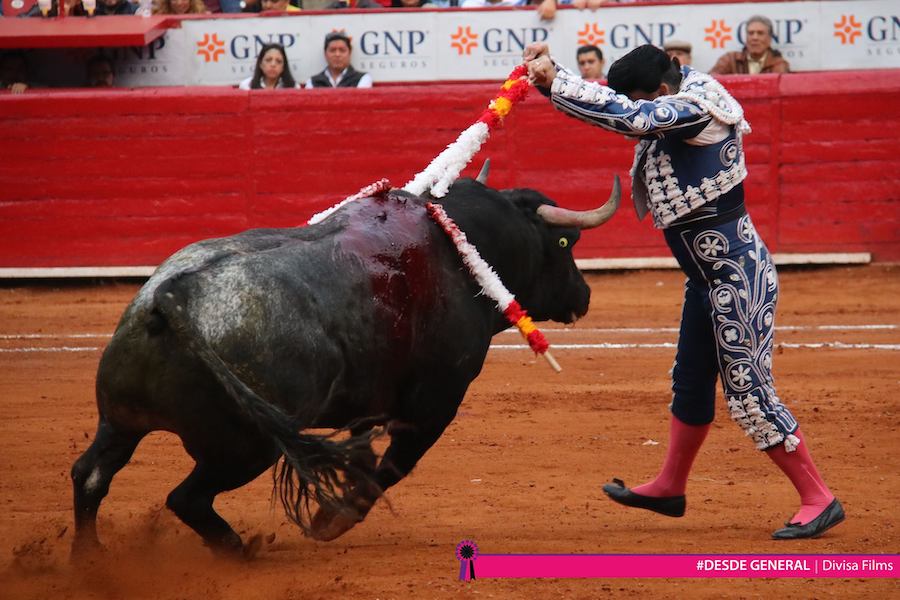 Promocionales para Redes Sociales y Televisión