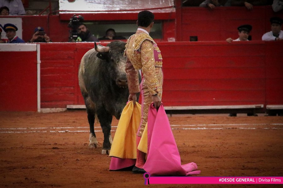 Promocionales para Redes Sociales y Televisión