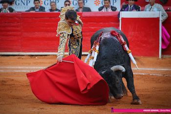 Promocionales de Corridas y Novilleros